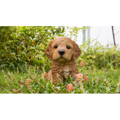 Hi-Line Gift Ltd. Sitting Cockapoo Puppy Statue & Reviews | Wayfair
